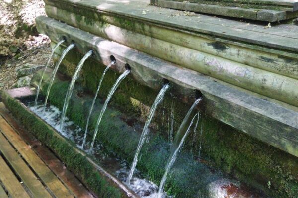 ANKARA ÇIKIŞLI GÜNÜBİRLİK YEDİGÖLLER TURU