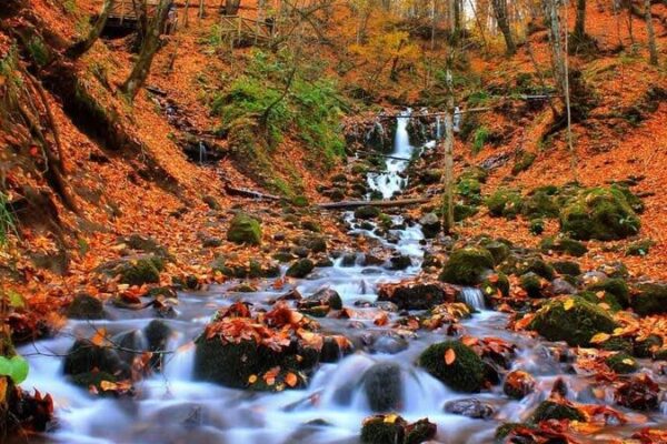 ANKARA ÇIKIŞLI GÜNÜBİRLİK YEDİGÖLLER TURU
