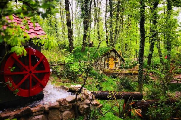 ANKARA ÇIKIŞLI GÜNÜBİRLİK SAPANCA – MAŞUKİYE – ORMANYA TURU