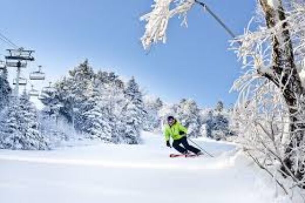 ANKARA ÇIKIŞLI GÜNÜBİRLİK ILGAZ TURU